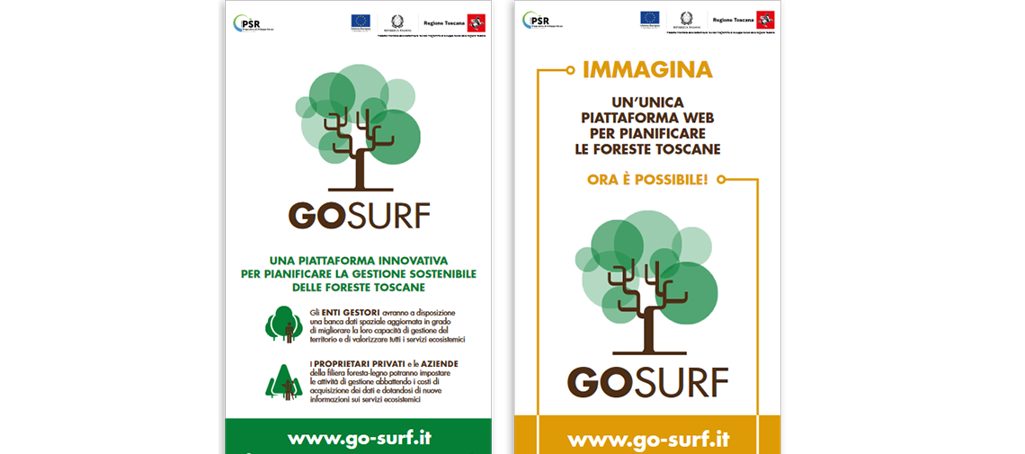 Roll-Up del GO-SURF