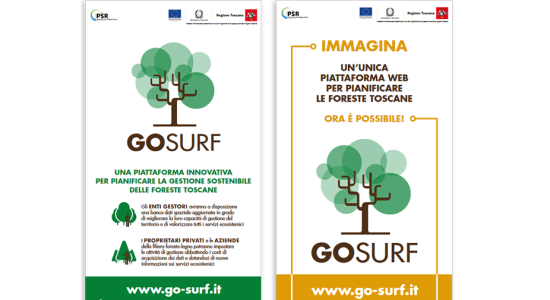 Roll-Up del GO-SURF