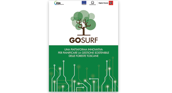 Brochure GO-SURF