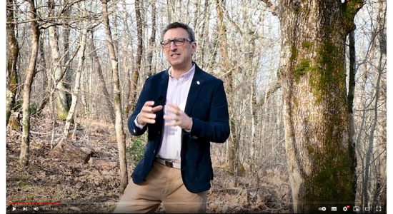 Un video per presentare GO SURF e la sua piattaforma DSS